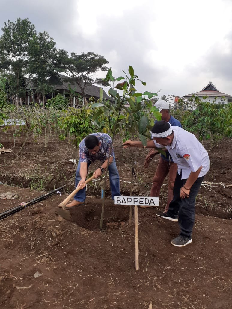 Gerakan Penanaman Pohon di Kecamatan Kiarapedes